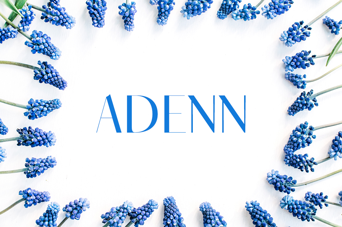 Adenn: Bridging the Gap Between Ideas and Execution