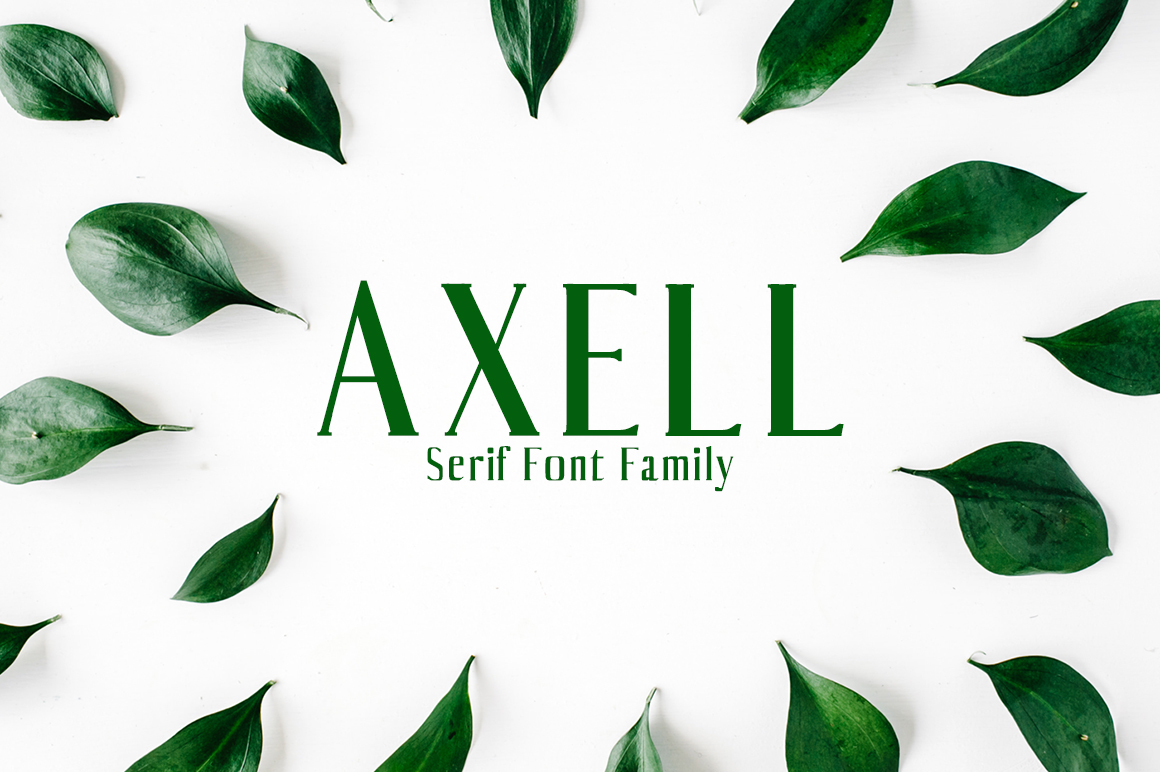 Axell: A Strategic Tool for Clearer Decisions and Better Outcomes