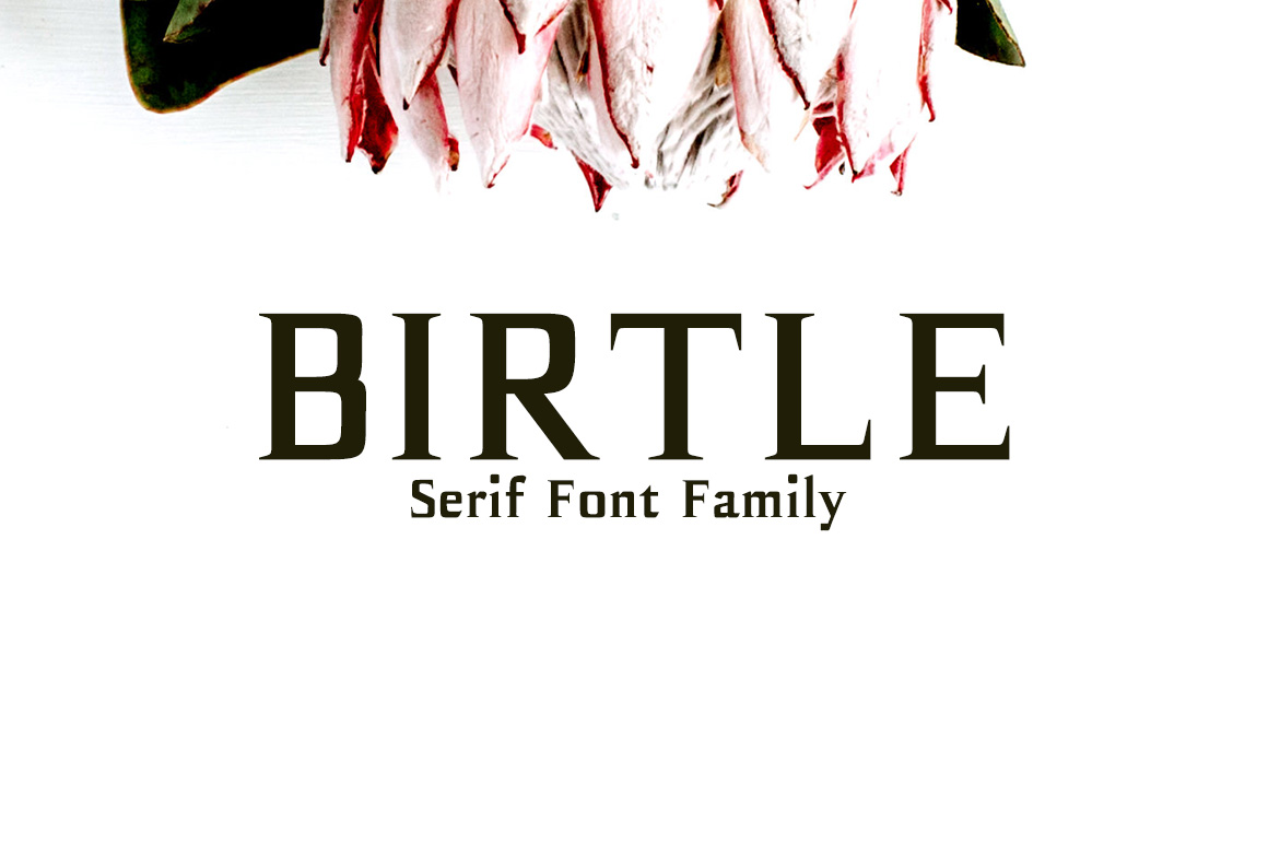 Birtle: A Practical Tool for Smarter Work and Clearer Communication