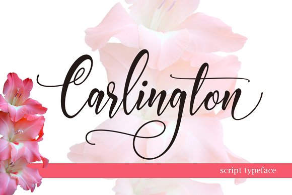 Carlington: A Practical Guide to Streamlining Your Digital Workflows