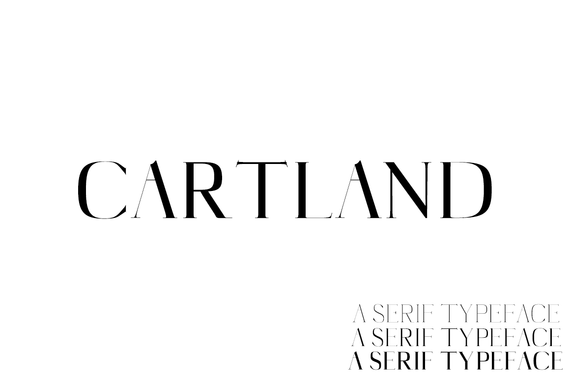 Cartland: Redefining Visual Communication