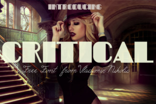 Critical: A Comprehensive Evaluation for Informed Decision-Making