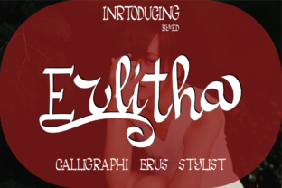 Erlitha: A Balanced Evaluation Framework for Informed Decision-Making