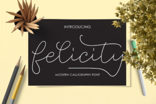 Felicity: A Practical Guide to Lasting Happiness and Productivity