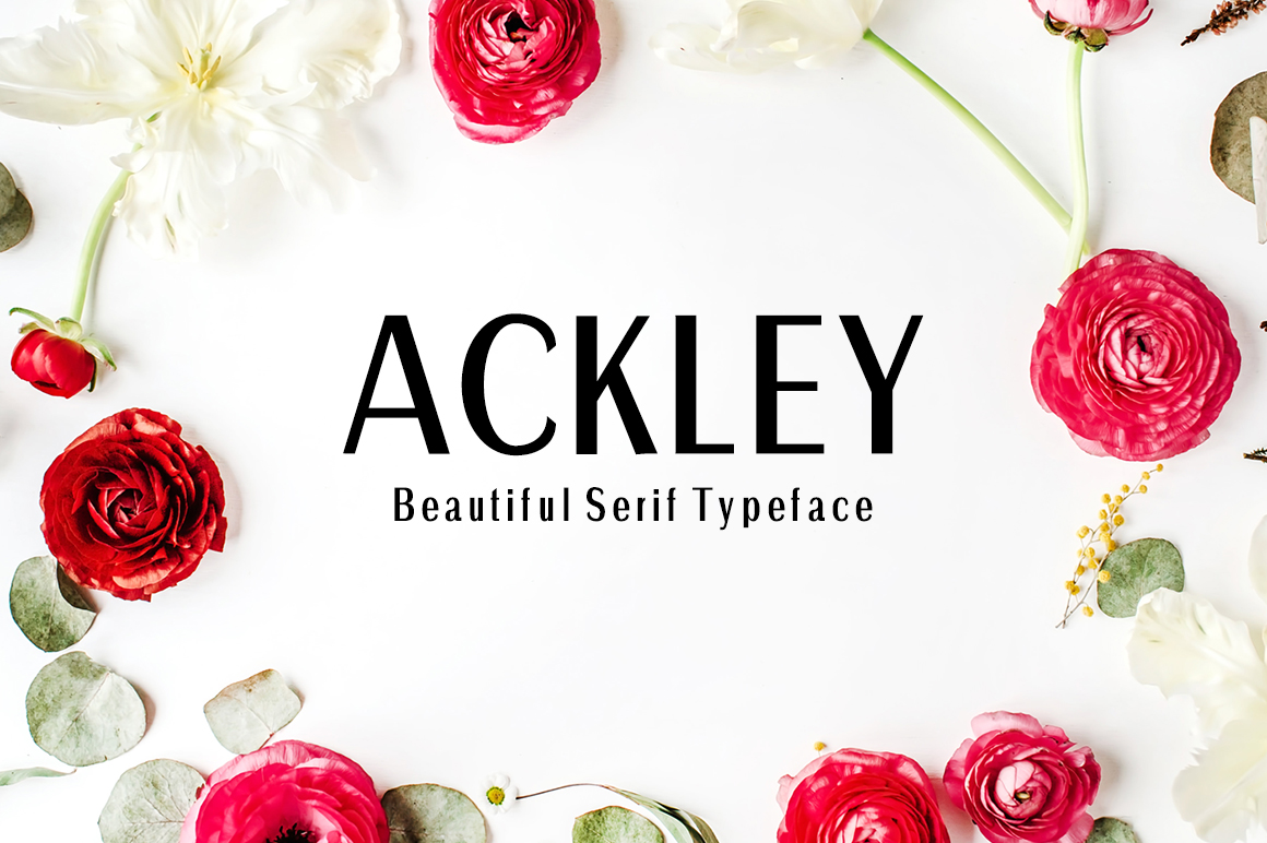 How Ackley Improves Your Workflow and Decision-Making