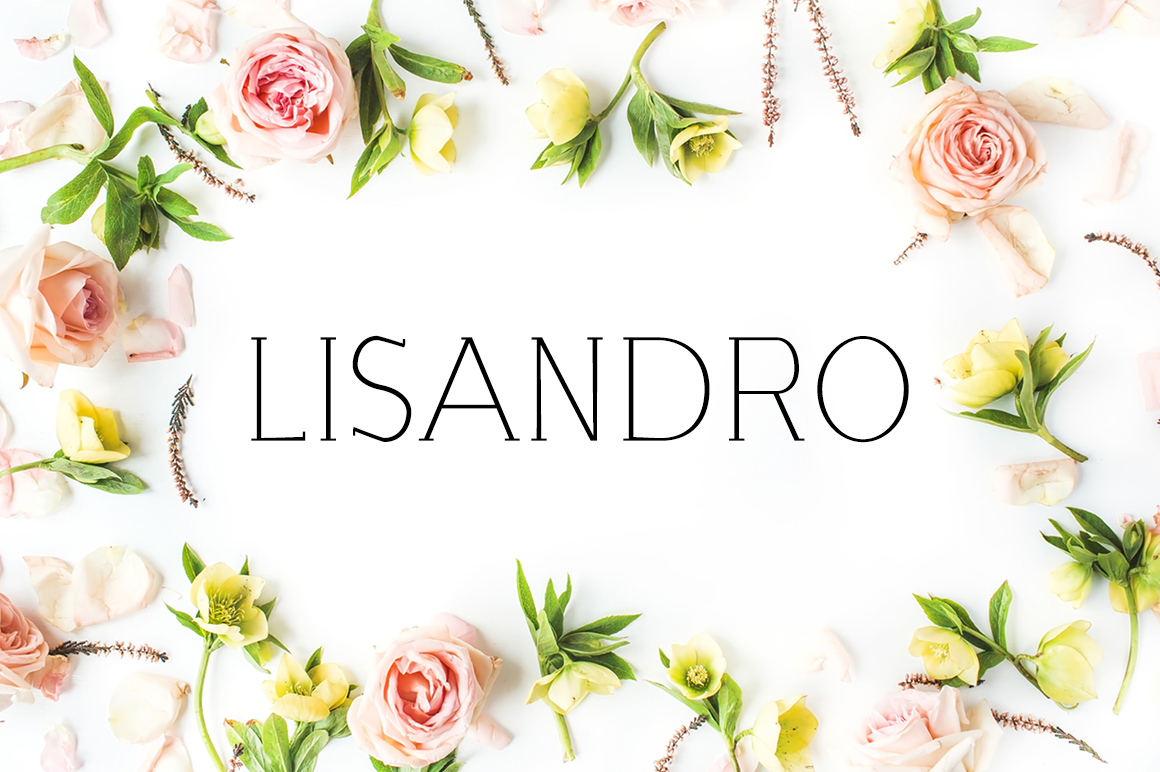 Lisandro: A Practical Evaluation for Design-Focused Professionals