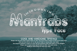 Maximizing Productivity with Mantrabs