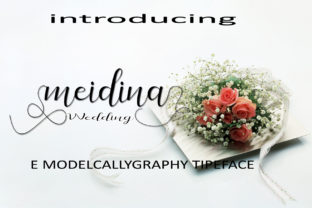 Meidina: A Practical Tool for Everyday Use