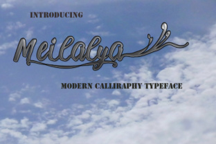Meilalya: A Practical Guide to Making the Most of It