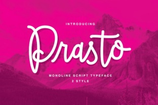Prasto: A Strategic Tool for Better Decision-Making and Results