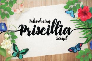 Priscillia: A Tool for Everyone