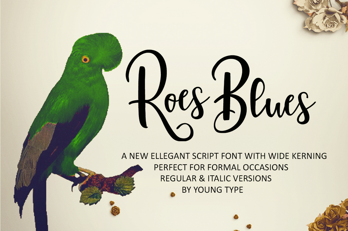 Roes Blues: A Strategic Framework for Purposeful Decision-Making