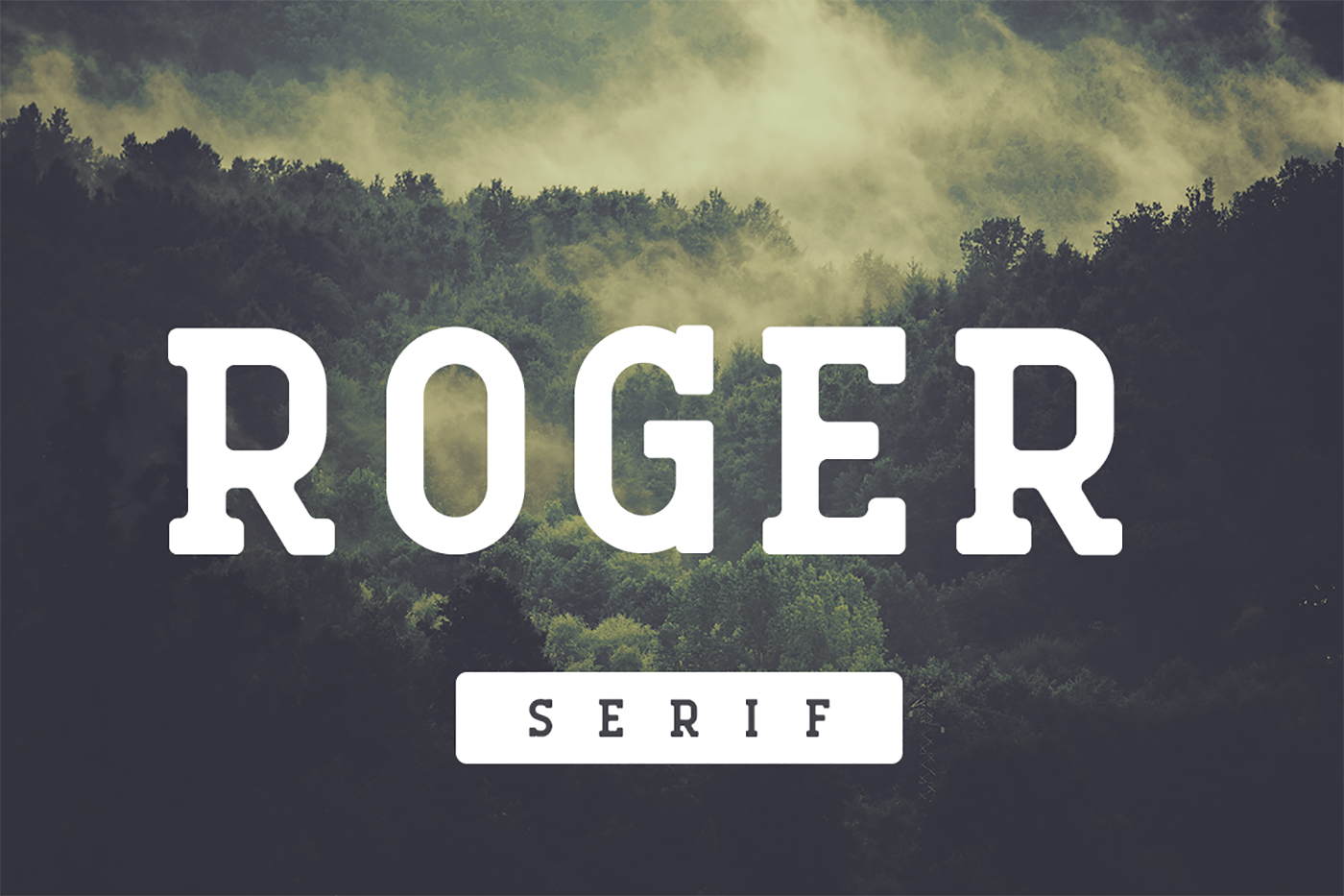 Roger Serif: A Contemporary Take on Timeless Typography