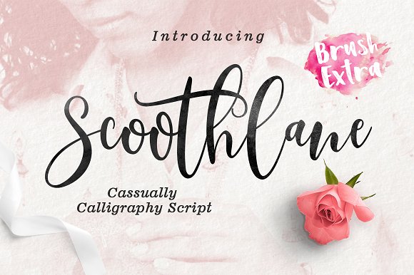 Scoothlane: A Comprehensive Evaluation for Informed Decision-Making