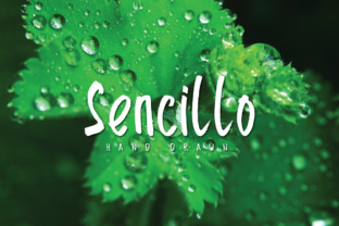 Sencillo: The Art of Intentional Design