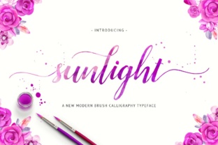 Sunlight: The Natural Force That Influences Health, Productivity, and Creativity