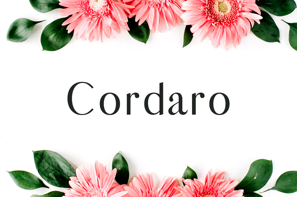 The Cordaro Principle: A Framework for Clearer Thinking and Deeper Understanding