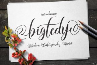 Understanding Bigtedy: A Practical Overview for Informed Decisions