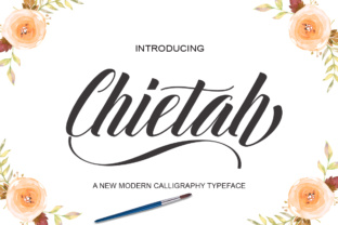 Understanding Chietah: A Practical Overview