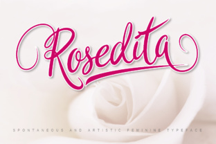 Understanding Rosedita and Its Role in Modern Digital Workflows