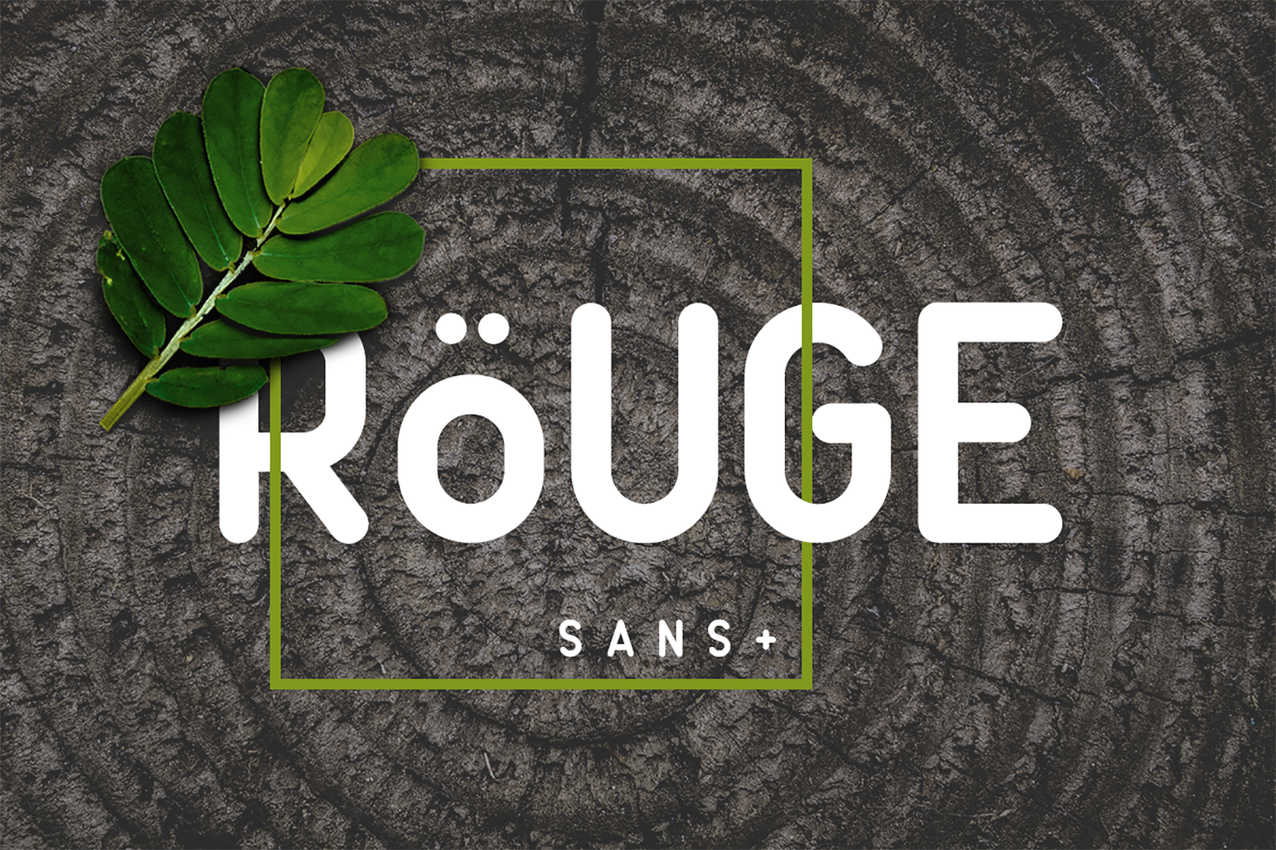 Unlocking Clarity and Consistency with Rouge Sans