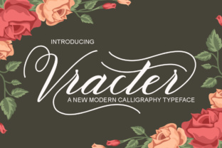 Vracter: A Strategic Tool for Better Decision-Making and Results