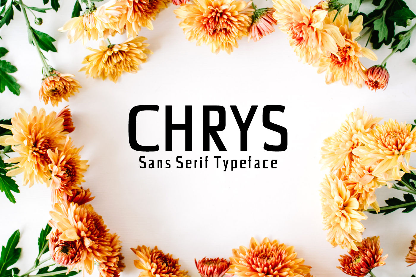 What Chrys Is and How It Fits Into Your Daily Life