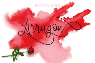 Why Arragon Might Not Be the Right Choice for Your Project